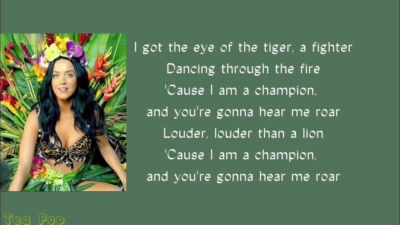 Lyrics To Roar By Katy Perry Karaoke Katy Perry - Roar lyrics - YouTube