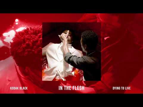 Kodak Black – In The Flesh [Official Audio]