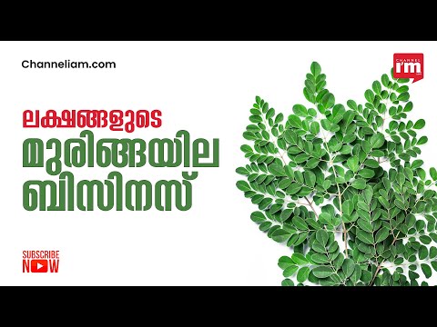 അംബിക തെളിയിച്ചു, കാശിനും ആരോഗ്യത്തിനും മുരിങ്ങ/ value-added products with drumstick leaves