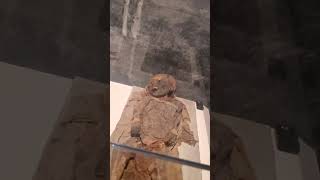 Mummies of the World- Frost Science museum #museumpass #familytime #staycayation