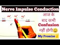 "Nerve Impulse Conduction" हमेशा के लिए CONFUSION दूर🔥| Easiest Explaination😎| Neet Confusion Series