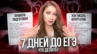 Как ПОДГОТОВИТЬСЯ К ЕГЭ ПО РУССКОМУ ЗА НЕДЕЛЮ!? (80+ баллов)