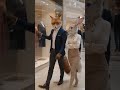 Shopping Day #fox #smooth #asmr #luxurylifestyle #departmentstore #funny