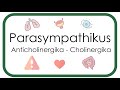 Parasympathikus –  Pharmakologie (Anticholinergika: Atropin, Scopolamin - Cholinergika: Neostigmin)