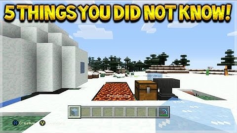 Minecraft Console Edition - 5 Things You Possibly Didn