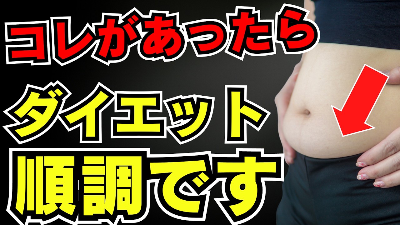 【1秒でわかる】痩せ始めているサイン10個！さらにダイエットを加速させる方法も教えます！