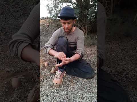 نعنوع دار على الحاج قالو راني شريك معاك فالبحايرة