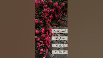 اكتب شيء تؤجر عليه 😔🌺 #عبدالرحمن_مسعد #تلاوة #قران_كريم