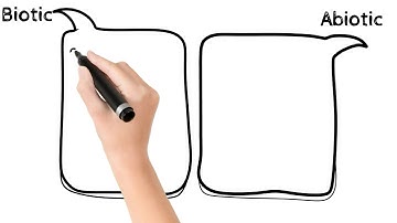 Science| Class 3| Samacheer Term 3| Unit 1| Our Environment| Explanation in tamil| Part 1