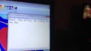 Video for bani the kitty