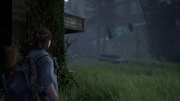 The Last Of Us Part 2 | New Game+ | Custom settings | 3rd part