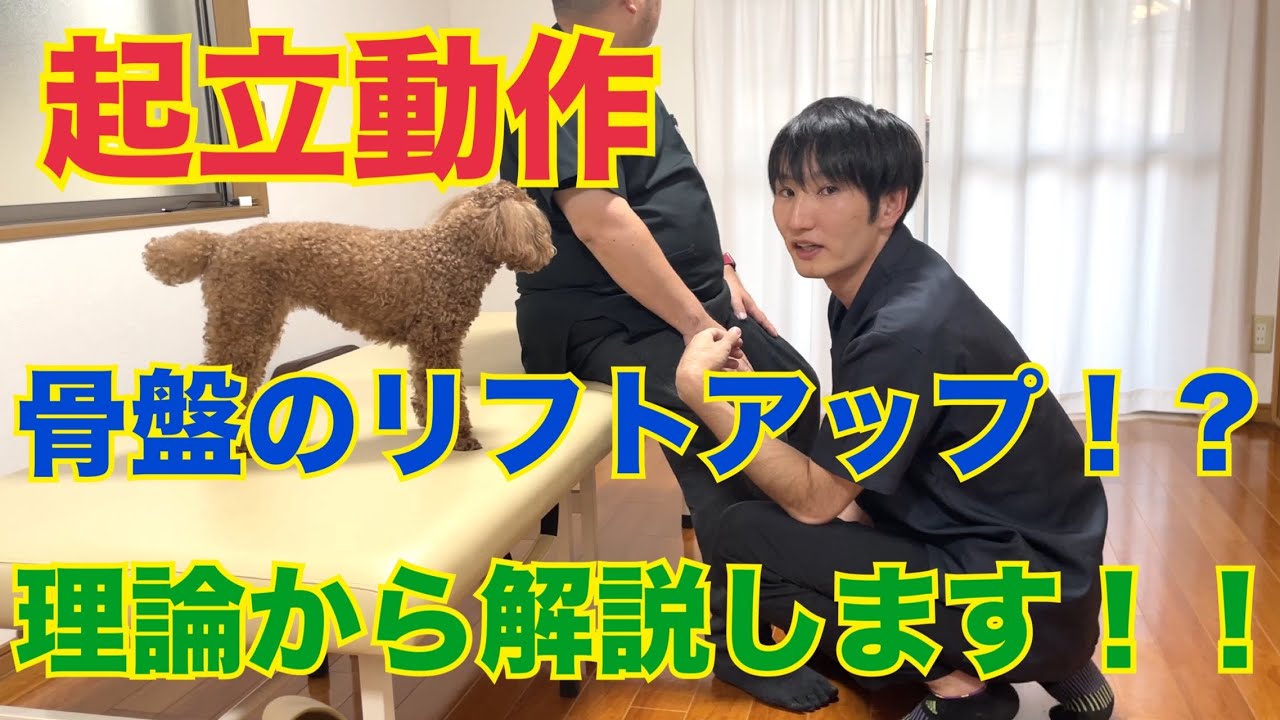 【極秘】起立動作の骨盤リフトアップとは！？