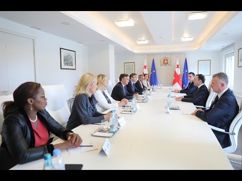 შეხვედრა ევროპარლამენტის დელეგაციასთან