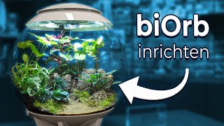 Terrarium maken! | BiOrb Air 60 | AquastoreXL