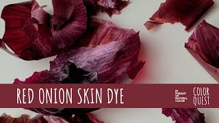 HOW TO MAKE NATURAL DYE WITH RED ONION SKIN | ORGANIC COLOR | PINK MAROON BROWN | RECYCLE