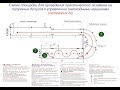 Практический экзамен на квадроцикле - категория А1(права на квадроцикл и снегоход)