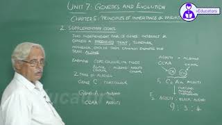_Molecular Basis of Inheritance_2 Gene expression - translation