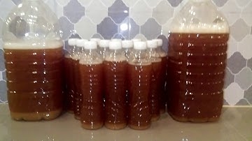 Nước Enzyme Bồ Hòn Trái Cây (1 năm ) Thanh Bình