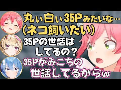 猫の話やみこちの怖い話で盛り上がるしらけん座談会が面白すぎたw【ホロライブ 切り抜き/不知火フレア/尾丸ポルカ/さくらみこ/星街すいせい/白銀ノエル】