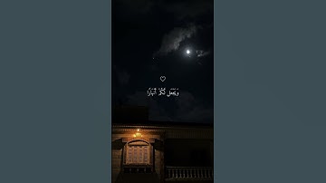 اكتب شيء تؤجر عليه ❤️‍🩹😴 القارئ ماهر المعيقلي راحه لقلبك