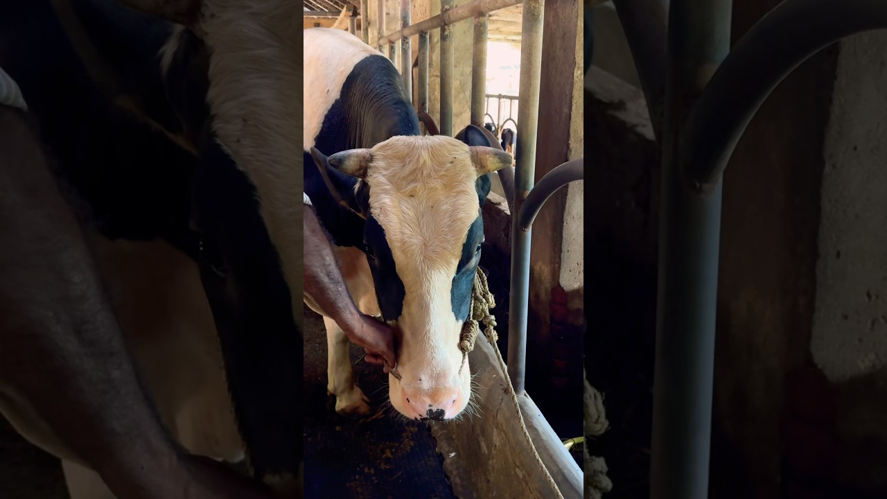 ഒറ്റകയറിന്റെ ബലത്തില നിക്കണേ 😁