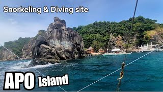 Apo Island. Best snorkeling & diving site in the Philippines | Dauin Negros Oriental. Apo Island. Best snorkeling & diving site in the Philippines | Dauin Negros Oriental.