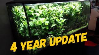 Mega Flex 4 year Update