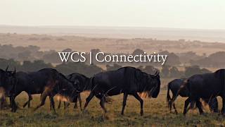 UNCCD CoP17 | Connectivity