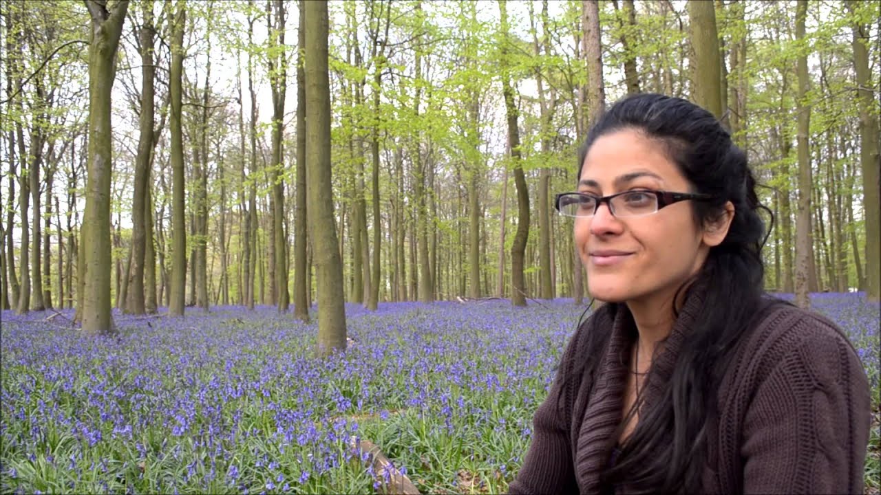 Creating Happiness Find Your Purpose