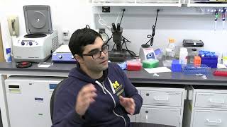 How Time Flies: Can fruit flies can speed up cancer research?