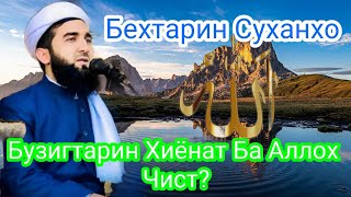 картинка: Бузургтарин Амонат Мавлоно Ахмад Фируз
