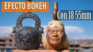 BOKE EFFECT WITH 18-55mm LENS - BLURRED BACKGROUND | PHOTOGRAPHING screenshot 4