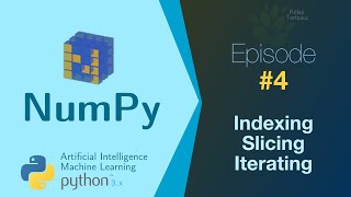 Belajar NumPy [Python Data Analisis] #04 - Indexing, Slicing dan Iterasi