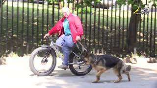 Тригер 75, Как научить приучить собаку овчарку к велосипеду
