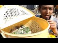 Lalukhet Sunday Bird Market Visit | Kashmiri & Grey Parrot Prices (Feb 1, 2026)