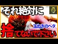 損してます！玉ねぎのヘタは捨てずにこうするとめっちゃお得【再生栽培】【家庭菜園】【園芸】