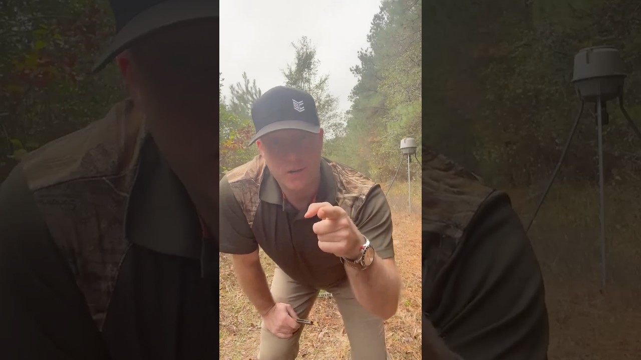 DON’T PUT RICE BRAN INTO A DEER FEEDER!! 