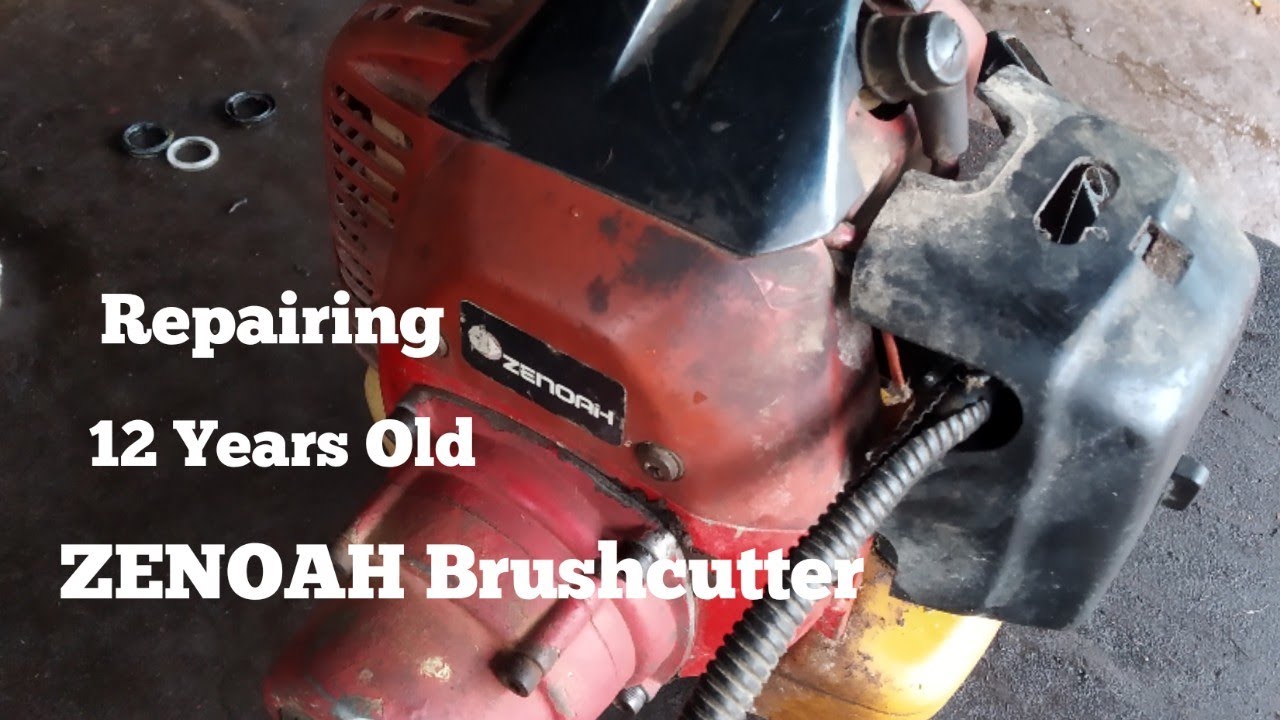 Brush Cutter Starting Problem, Oil Leakage 12 Years Old Zenoah 