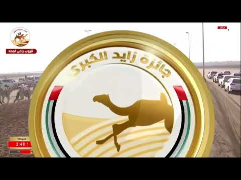 الشوط 18 ل الشميمي ل علي خميس بن سالم الجنيبي 5 46 70 جائزة زايد الكبرى 2025