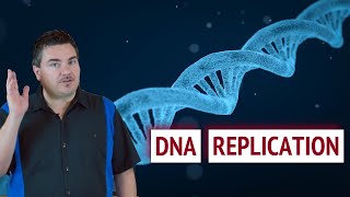 DNA Replication