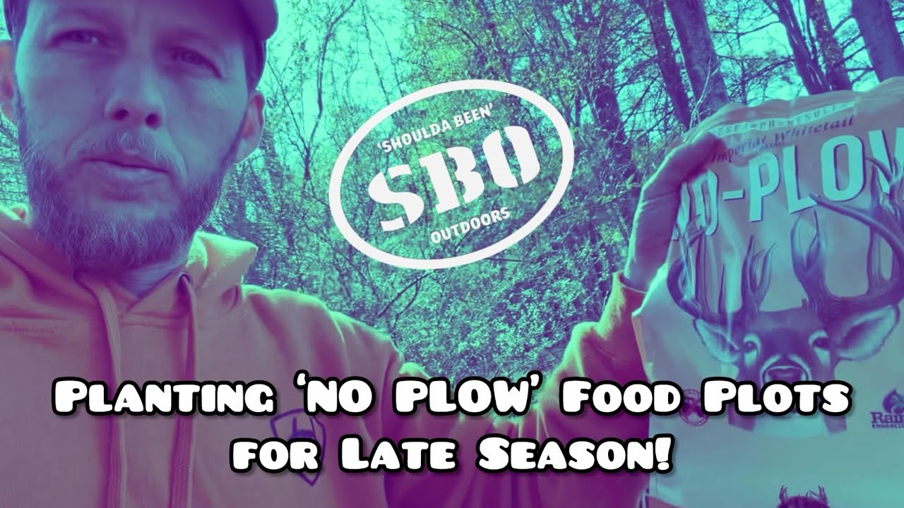 Высаживаем кормовые участки без вспашки для охоты в конце сезона!