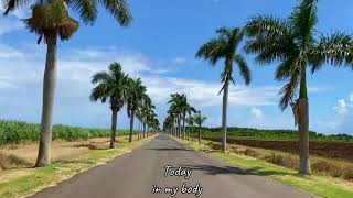 Zara Zara Remix (English translations) - Mauritius Road Trips