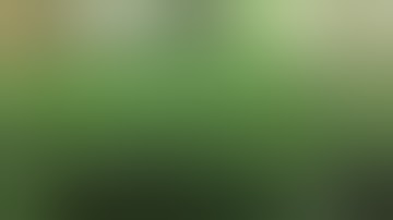 Setting up my scrog!