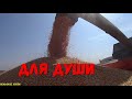 Загоночка Убойная песня/Видео клип/Хорошо в Деревне!