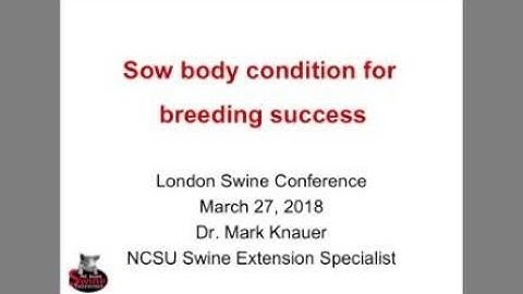 "Sow Foundation as A Foundation to Successful Breeding" - Presenter: Mark Knauer