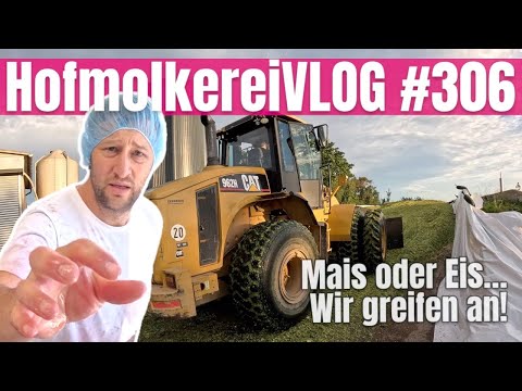 DairyVLOG #306: Mais und Eis?