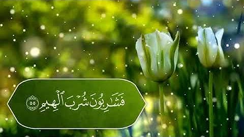سورة الواقعة للقارئ الشيخ سعدون حمادي بجودة عالية‼️