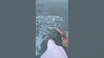 Alibi Sevdaliza Lyrics 