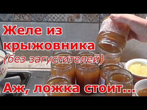 Желе из крыжовника на зиму без загустителей. Как приготовить желе из крыжовника. Пошаговый рецепт.