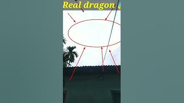 Thumbnail of Real flying dragon caught on camera Again 😱😱 OMG watch till end  #Shorts #viral